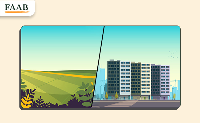 From Land to Landmark: How Structured Layouts Accelerate Growth